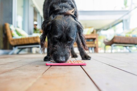 MATA ANTYSTRES LICKIMAT BUDDY DELUXE KRZYŻYK TWARDA CZERWONA