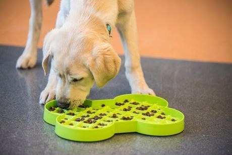 MATA SLODOG SLOW FEEDER PLATE MISKA SPOWALNIAJĄCA RÓŻOWA