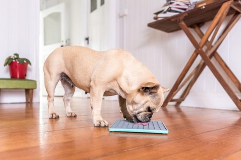 MATA ANTYSTRESOWA LICKIMAT BUDDY KRZYŻYK MIĘKKA POMARAŃCZOWA