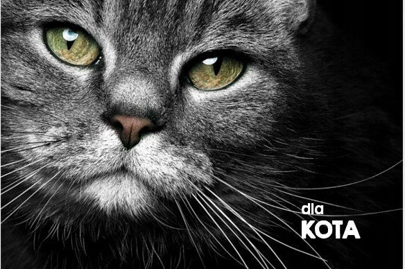 NATUREA NATURALS CAT & KITTEN KURCZAK 7KG KOT NATUREA NATURALS CAT & KITTEN KURCZAK 7KG KOT