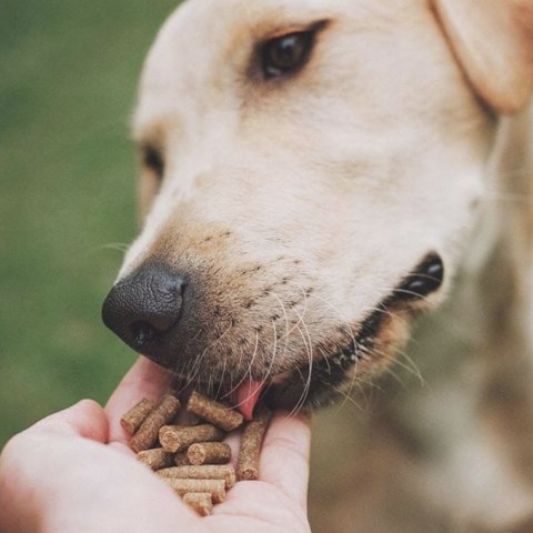 TRIBAL PUPPY ŚWIEŻY INDYK 2,5KG BEZZBOŻOWA SZCZENIAK