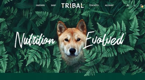 TRIBAL PUPPY ŚWIEŻY INDYK 5KG BEZZBOŻOWA SZCZENIAK TRIBAL PUPPY ŚWIEŻY INDYK 5KG BEZZBOŻOWA SZCZENIAK