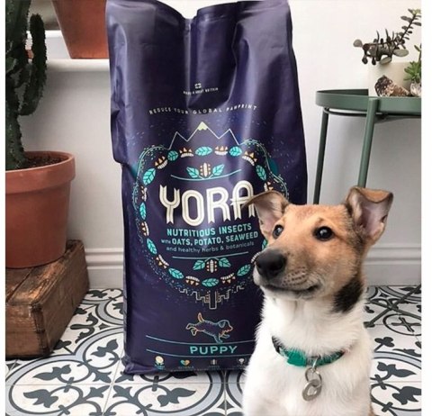 YORA PUPPY 12KG EKOLOGICZNA KARMA DLA PSA Z OWADÓW All BREAD YORA PUPPY 12KG EKOLOGICZNA KARMA DLA PSA Z OWADÓW All BREAD