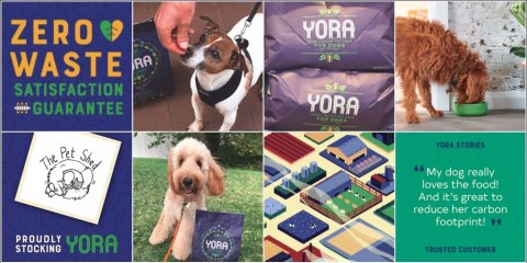 YORA PUPPY 12KG EKOLOGICZNA KARMA DLA PSA Z OWADÓW All BREAD YORA PUPPY 12KG EKOLOGICZNA KARMA DLA PSA Z OWADÓW All BREAD