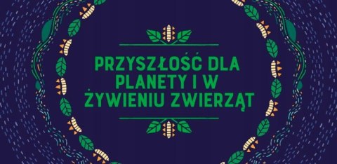 YORA DREAMERS RELAKSUJĄCE PRZYSMAKI DLA PSA 100G