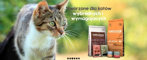 NATUREA DORSZ Z FIGĄ 4x 85G BEZZBOŻOWA HIPOALERGICZNA KOT