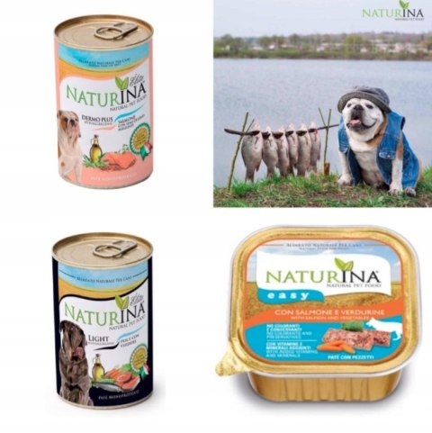 NATURINA EASY DOG INDYK Z RYŻEM 4x150G PIES