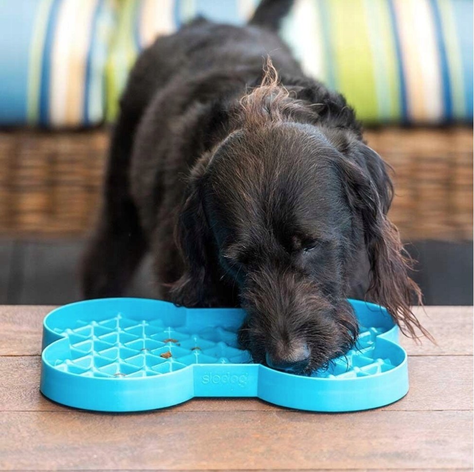 MATA SLODOG SLOW FEEDER PLATE MISKA SPOWALNIAJĄCA NIEBIESKA MATA SLODOG SLOW FEEDER PLATE MISKA SPOWALNIAJĄCA NIEBIESKA