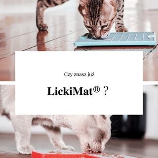 MATA ANTYSTRES LICKIMAT BUDDY LARGE KRZYŻK MIĘKKA