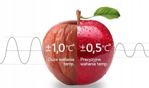 LODÓWKA LG GBB72PZVFN SREBRNA NOFROST INWERTER