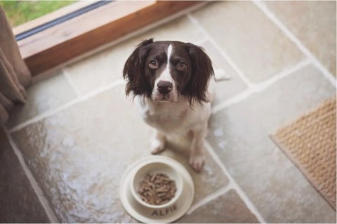 TRIBAL PUPPY ŚWIEŻY KURCZAK 12KG BEZZBOŻ HIPO PIES