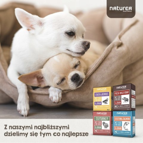 NATUREA DZICZYZNA BEZZBOŻOWA MOKRA KARMA 4x400G PIES