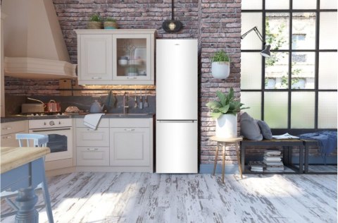 LODÓWKA GORENJE NRK4181CW4 182CM 256L NoFrost Plus