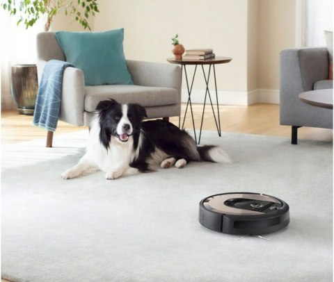 ROBOT SPRZĄTAJĄCY iROBOT Roomba i6 Wi-Fi na sierść