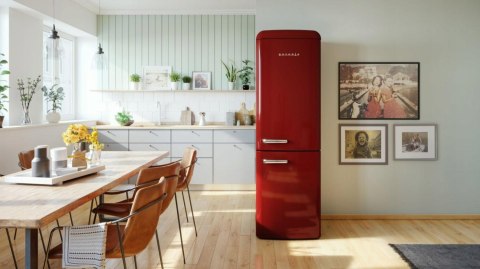 LODÓWKA GORENJE ONRK619DR No Frost Plus