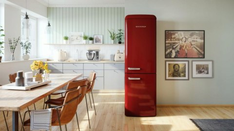 LODÓWKA GORENJE ONRK619DR No Frost Plus