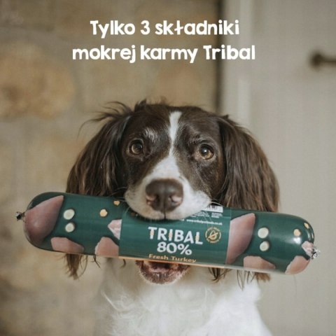 TRIBAL 80% ŚWIEŻY INDYK BEZZBOŻOWA PIES 3 x 300G