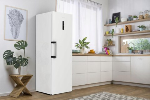 CHŁODZIARKA GORENJE R619EAW6