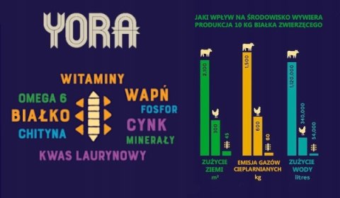 YORA MOKRA KARMA DLA PSA INSEKTY PASTERNAK JABŁKO