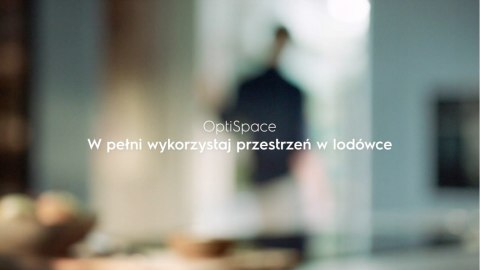 CHŁODZIARKA ELECTROLUX LRB3AF12S Ośw.LED OptiSpace