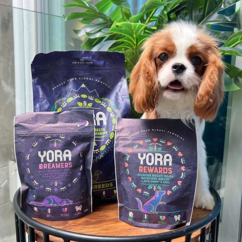 YORA DOG DENTAL STICKS 270 G DUŻA RASA 270G JABŁKO I MIĘTA