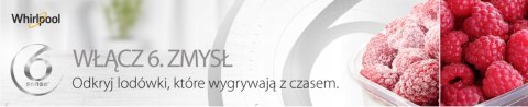 CHŁODZIARKA JEDNODRZWIOWA WHIRLPOOL SW8AM2YWR2 371L 6 Zmysł Auto Defrost