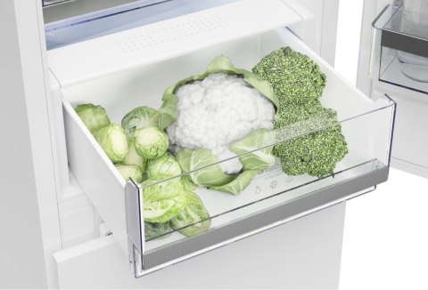 LODÓWKA GORENJE NRK418EES4 255 L No Frost Plus Oświetlenie LED Fast Freeze